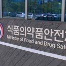 고려인력 네이버블로그