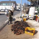 대부건강원 이미지