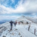 화순초이서분교장 이미지