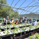 양주시농업기술센터 이미지