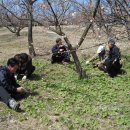 옥남농장 이미지