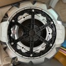 동조리젠시 이미지