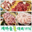 새마을꽃대패1970