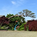 그림같은수목원 Daum카페