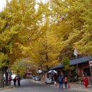 해인사터미널주차장화장실 이미지