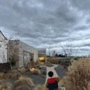 프로퍼밀도 | [제주] 서귀포 숙소 추천 / 고요하고 평화로웠던 프로퍼밀도 적요의 길(+근처 포장 맛집들)