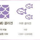 매직앤뷰티 네이버블로그