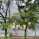 군문동 296-2번지 앞 | 이마트 트레이더스 송림점 메뉴추천! 메뉴종류 무엇이있나~