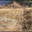 주천면 덕촌마을 이미지