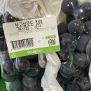 쫄랭쫄랭 이미지