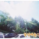 보라상가세탁소 이미지