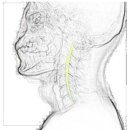 피트니스 넘버원 이미지