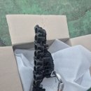 그랜드모터스 이미지