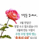 우리나라 최고 명의 (분야별) 총정리 이미지