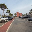 카페바움 | 용인 호암미술관 근처 카페 공간대여 베이커리카페 화이트바움 후기