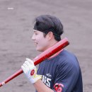 아마미
