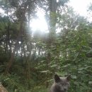 영락농장 이미지