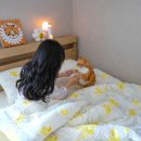 봄의 플로라 | 고양이 집사 이불 플로라 침구 옐로우가든 봄신상 차렵이불 후기