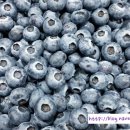 옛날떡방앗간 이미지