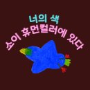 나의 색을 만나는 초대 - 소이 휴먼컬러