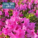 오성농원 이미지