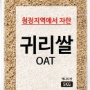 대구농산