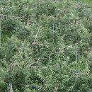 덕고개농장 이미지