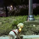 미용하고 가개 이미지