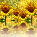 돈대박PC 이미지