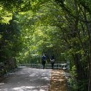 남해씨앤뷰 | 8월 국내여행 남해 가볼만한곳 2박 3일 여행코스