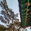 우송건축자재