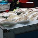 강산횟집 이미지