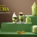 폴바셋대구수성못점 이미지