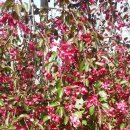 수양1 농장 이미지