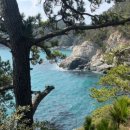 논두렁감자탕 이미지