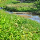 용암천1 이미지