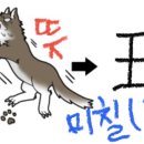 광에미치다 - 11087 | 광에미치다