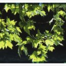 선릉쉼표정신건강의학과의원 이미지