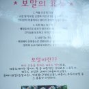 표선달채 | 제주도 표선 보말 칼국수 표선카라반국수 4가지 메뉴