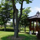 복룡동 어린이놀이테마숲 이미지