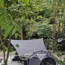 숲속에서 캠핑장 | 충북 제천 캠핑장 덕동리301 숲속에서 만난 계곡캠핑장 명당 추천 후기