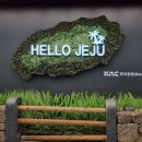 정 머리방 | 20230723~24 제주도 탐조 후기