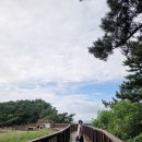 서천서해안횟집 | 서해안 투어 나만 따라와 1편 공세리성당 · 삽교호 · 홍성 · 서천