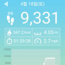 걷기 / 인증해요 이미지