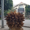 17차 베트남 북부( 하노이, 사파, 하롱베이, 닌빙) 7일 자유여행 공지 (10월1일~ 8일) 이미지