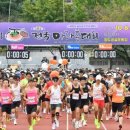 청도군-17 이미지