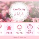 새명(유) Daum카페