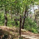 무룡산-KT중계소 이미지