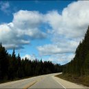 19.캐나다 렌터카여행-세계 최고의 드라이브 코스, 아이스필드 파크웨이 이미지