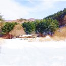 산골초가집